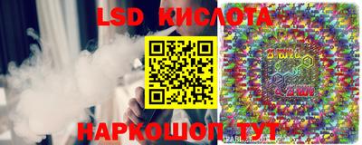 PSILOCYBIN Краснодар