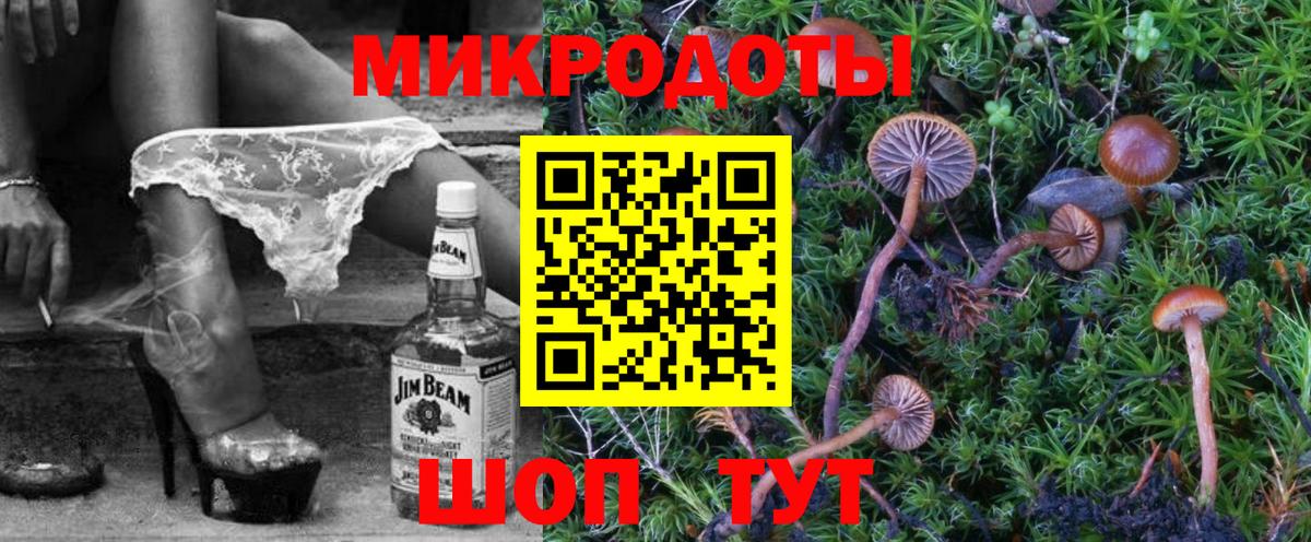Галлюциногенные грибы Psilocybe  Вход с VPN  Биробиджан 