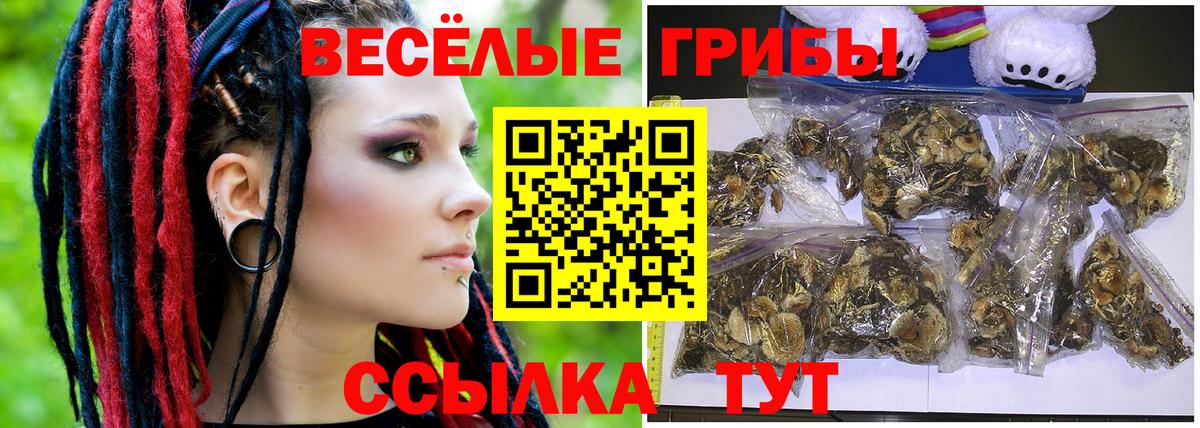 Псилоцибиновые грибы Psilocybine cubensis Биробиджан